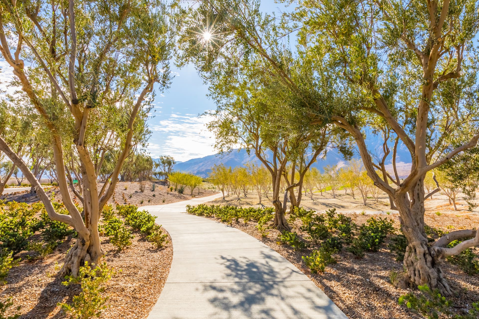 Walking Trails in Miralon Palm Springs